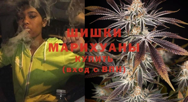 тгк Арсеньев