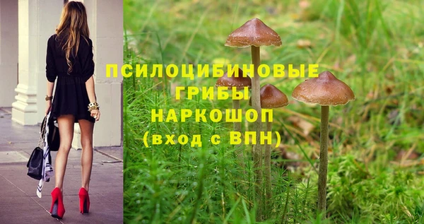 тгк Арсеньев