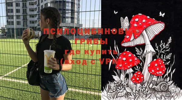 тгк Арсеньев