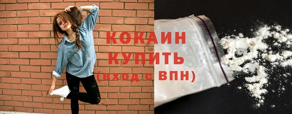тгк Арсеньев